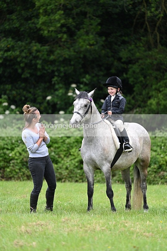 WJ7_4201 - Class 14A Handsome Gelding