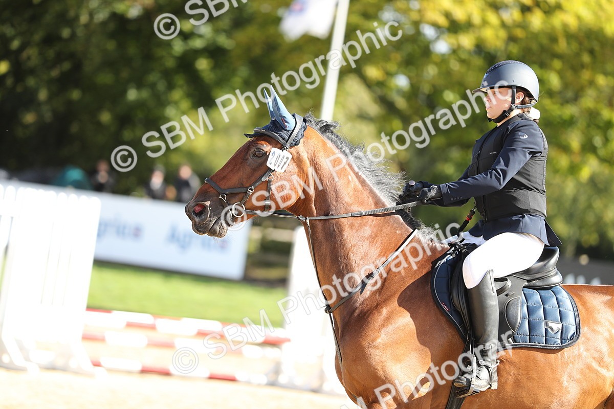 SBM_40177 - J21 - Junior Horse 60cm Championship