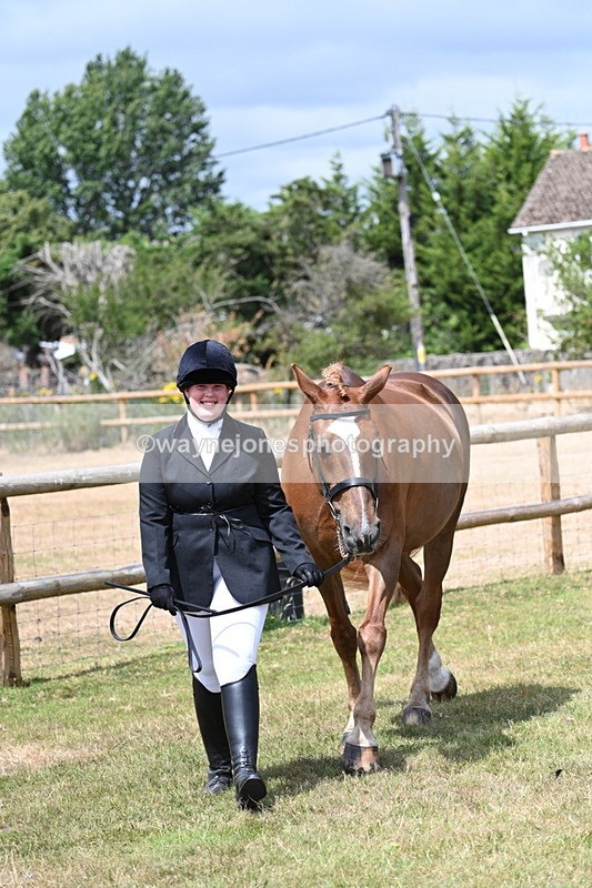 WJ7_1772 - Class 4a Prettiest Mare 14.2hh and over hand