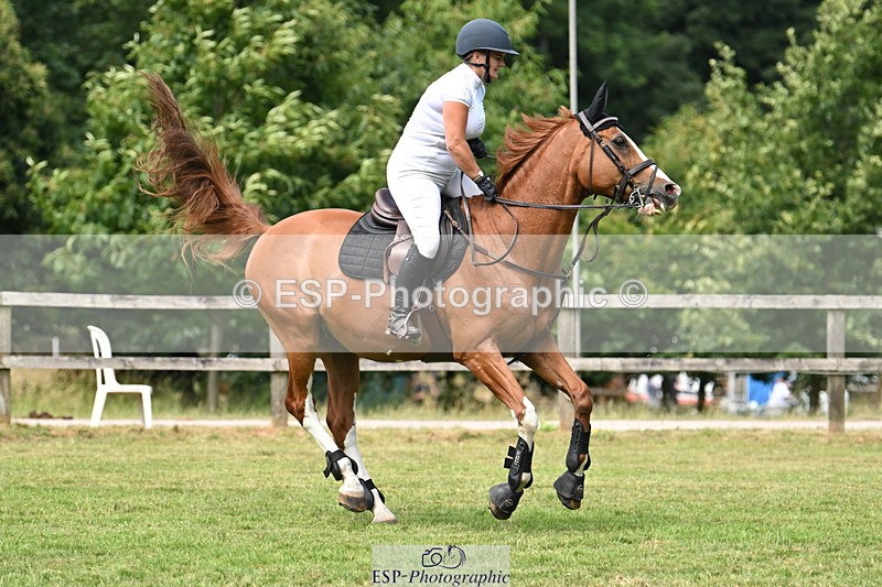 250704A-114123-07334 - Cls 25 Snr British Novice and 90cm