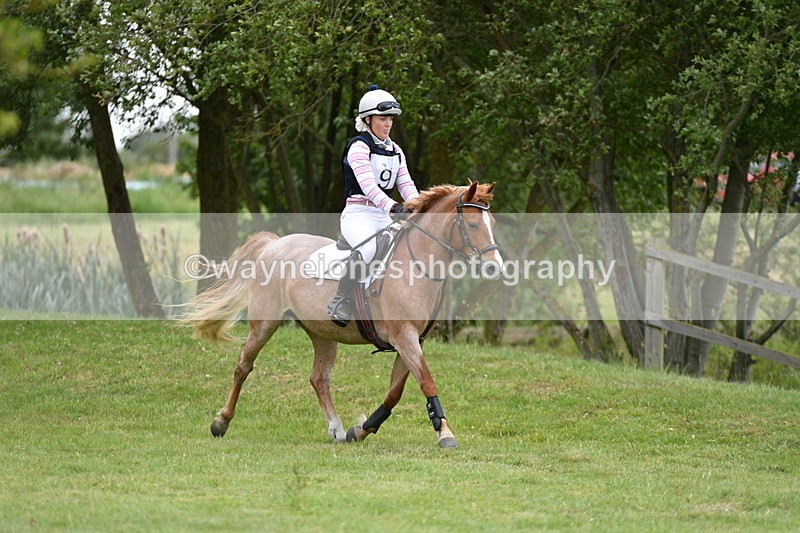 WJ5_2495 - Class 2 40cm