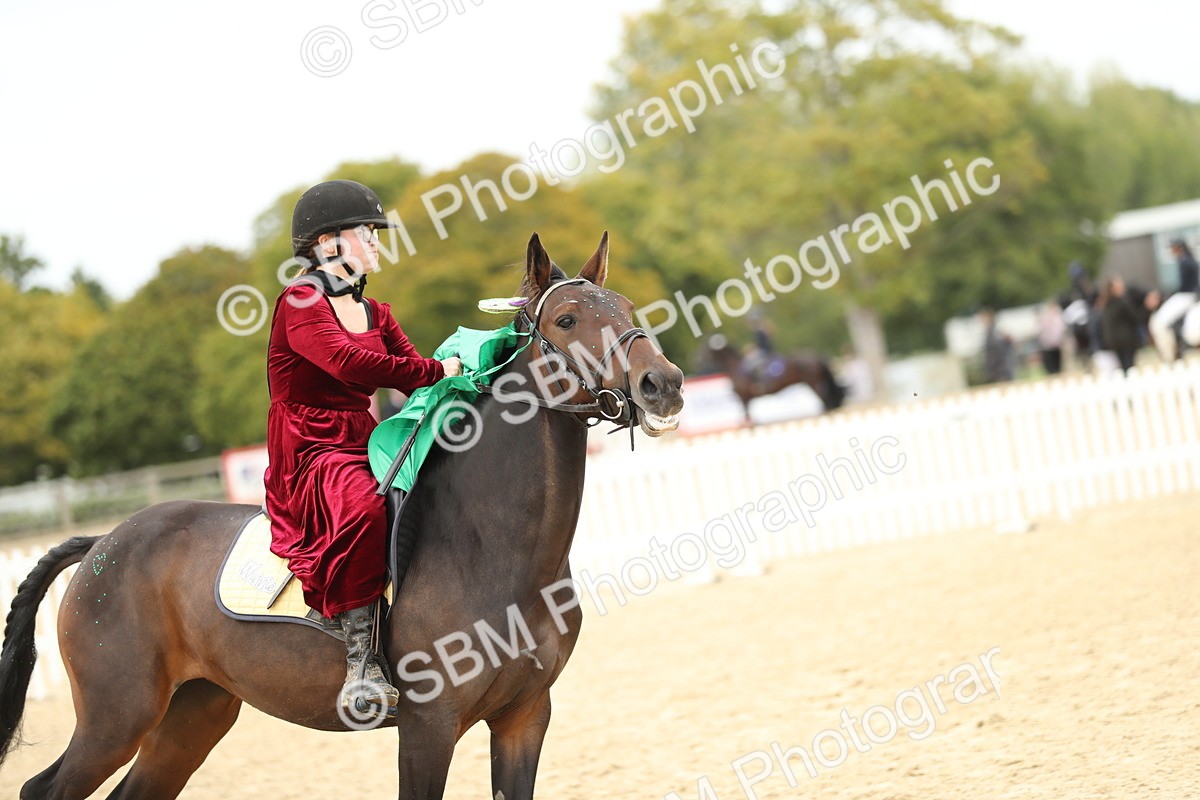 SBM_65761 - J48 - Pairs Jumping Open 70cm & 85cm