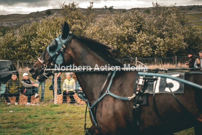 DSCF7378 - Kilnsey Harness racing