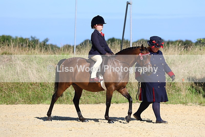 3E7A7877 - Class 14: Tack and Turnout