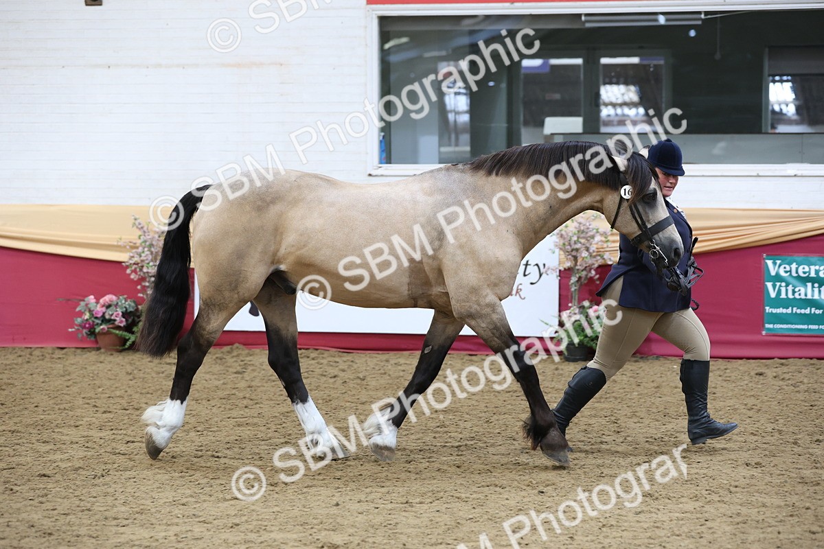 SBM_23673 - class 906 - Supreme Final - Ridden Pre Vet