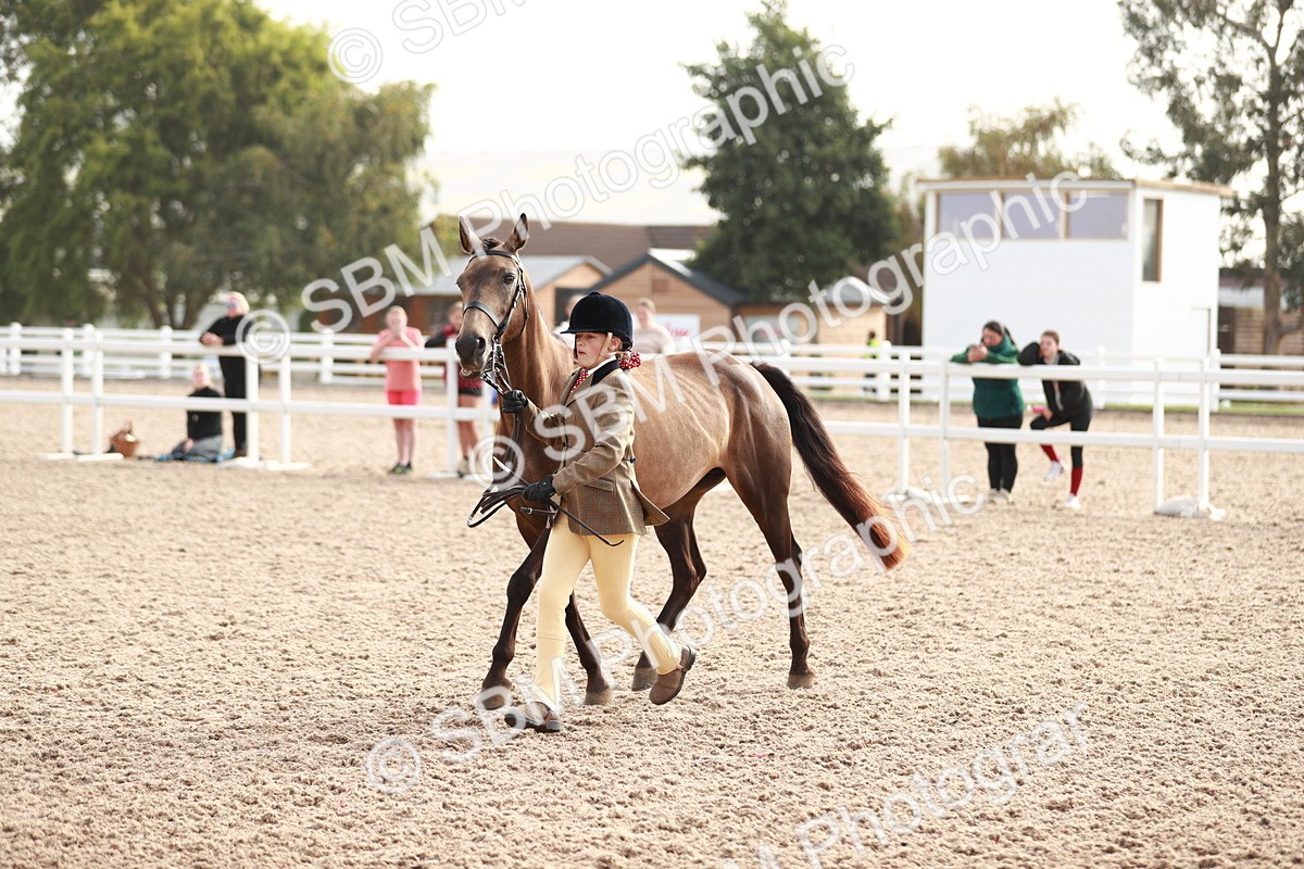 SBM_10577 - Class 204 Young Handler, 11-16 years
