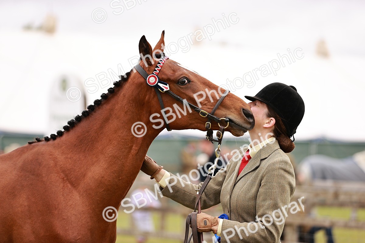 SBM_04786 - Class 35-38 Riding Horse Breeding