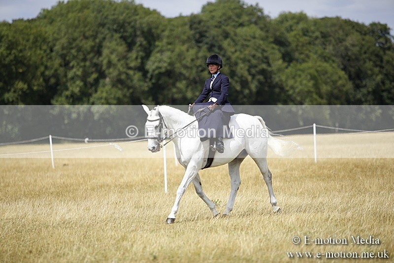 _C7A0286 - Side Saddle Classes BVRC Show 2018