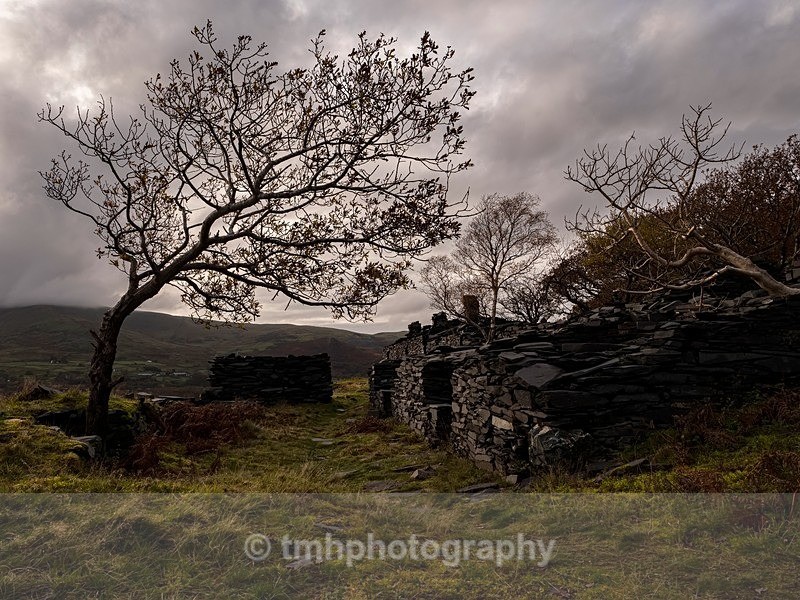 Catching the Light - Wales
