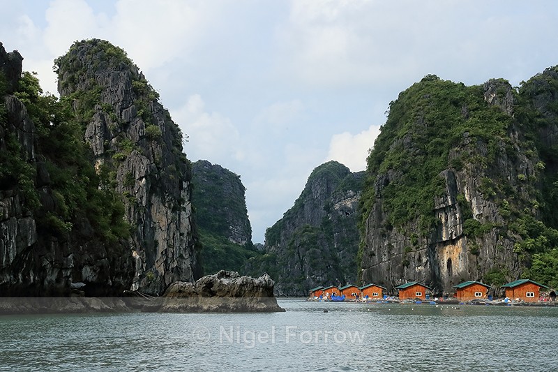 Vung Vieng fishing village, Ha Long Bay, Vietnam - Vietnam