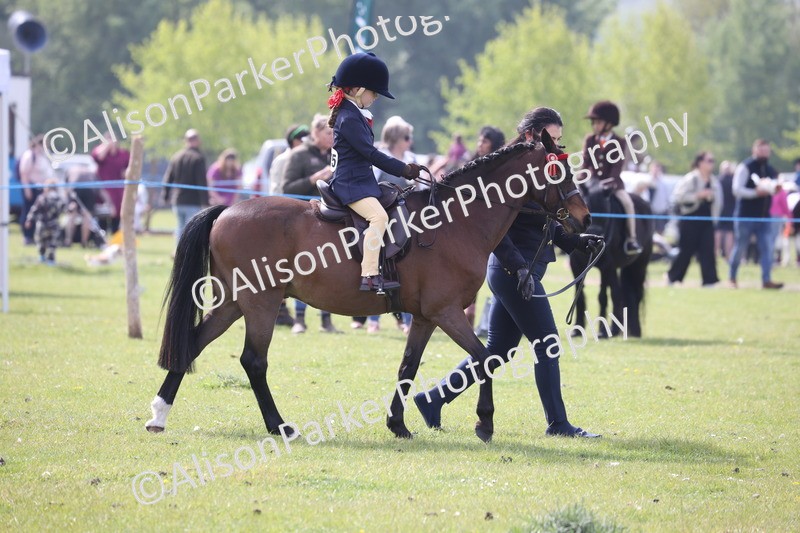 20260426-2584 - Class 31 - Leading Rein