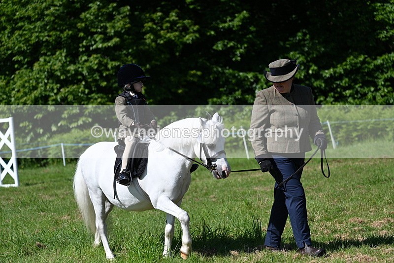 WJ7_0582 - Class 8 First Rally Pony