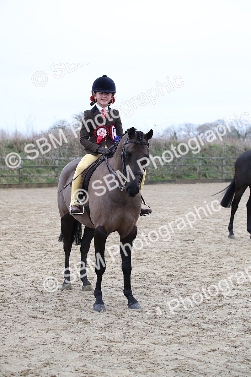 SBM_004803 - Class 5-9 - NPS In Hand-Show Hunter-Intermediate Ridden Inc Ridden Championship