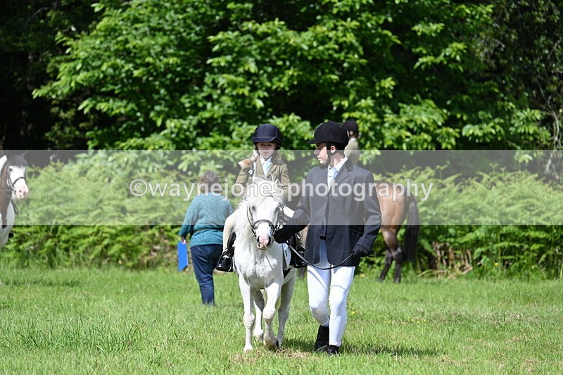 WJ7_1207 - Class 11 Condition & Turnout