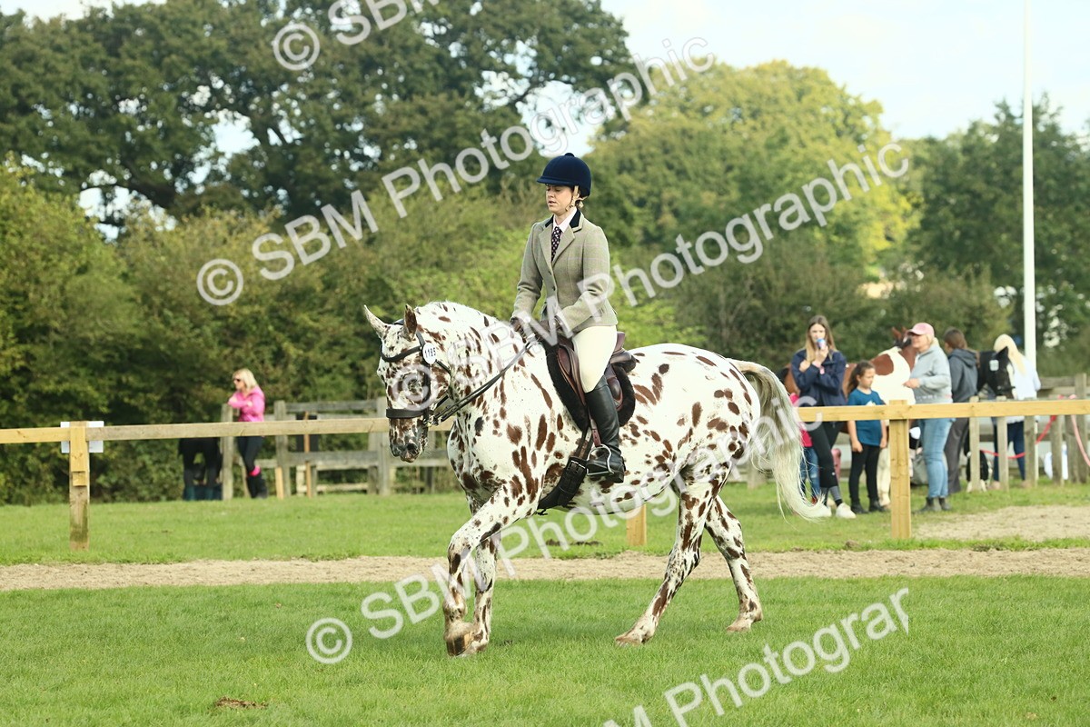 SBM_62423 - S62 - Foreign Breeds Ridden