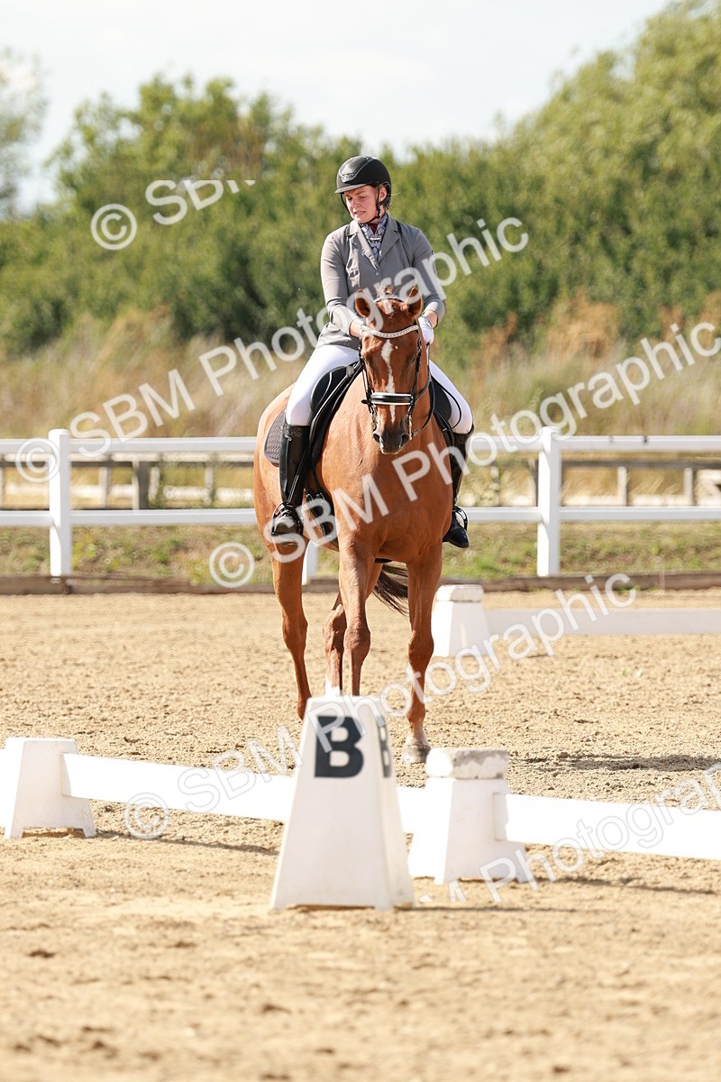 SBM_002541 - Class 11 - Medium 6