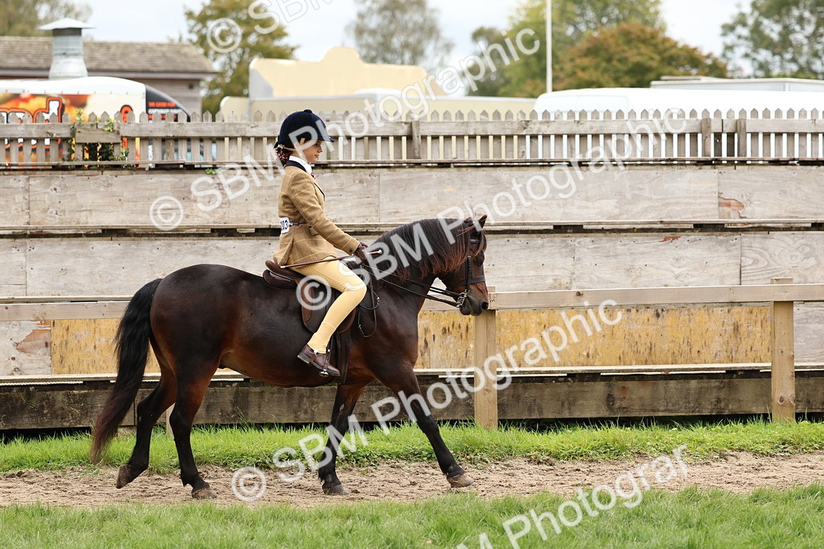 SBM_67344 - S61 - Mountain & Moorland Ridden