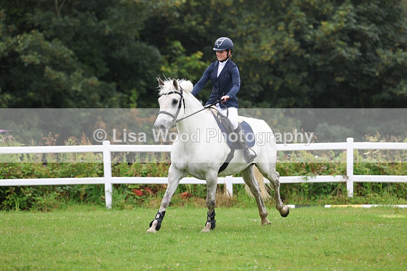 3E7A1227 - Class 5: 80cm open (A)