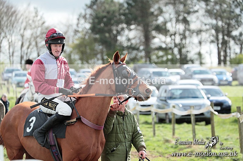 PtP 230324 666 - Tedworth Hunt PtP Larkhill Raccourse 23rd March 2024