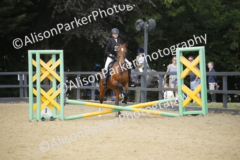 20250622-3915 - 50cm