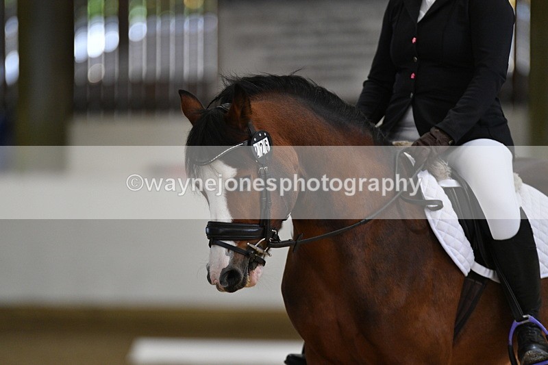 WJ5_7325 - Class 2 Intro Test 2