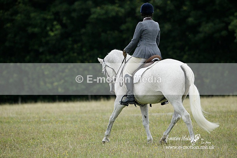 BVRC 030721 740 - Bourne Valley Riding Club Dressage 03/07/21