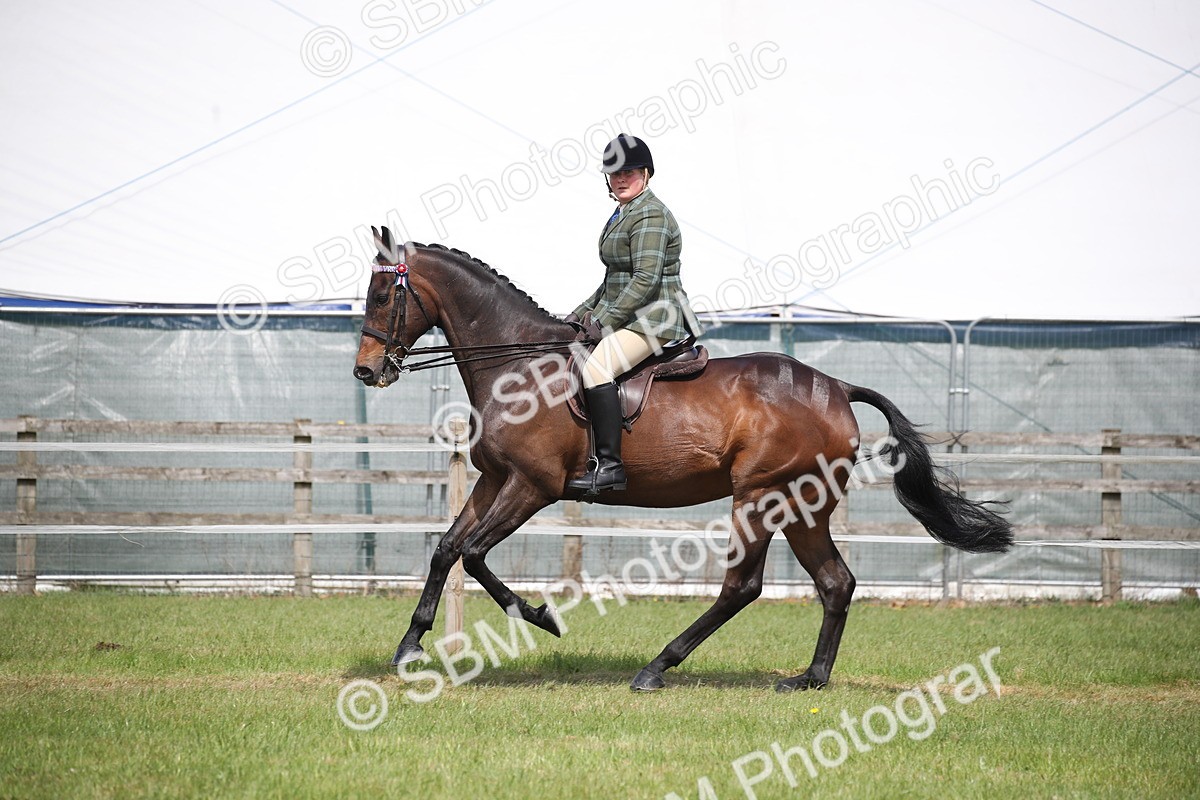 SBM_14204 - Class 113-114 - Retraining of Racehorses Ridden