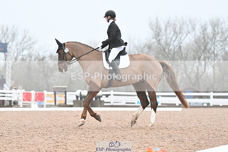 240217A-095300-00478 - 123-Daisy.Hedges-Felicia.v