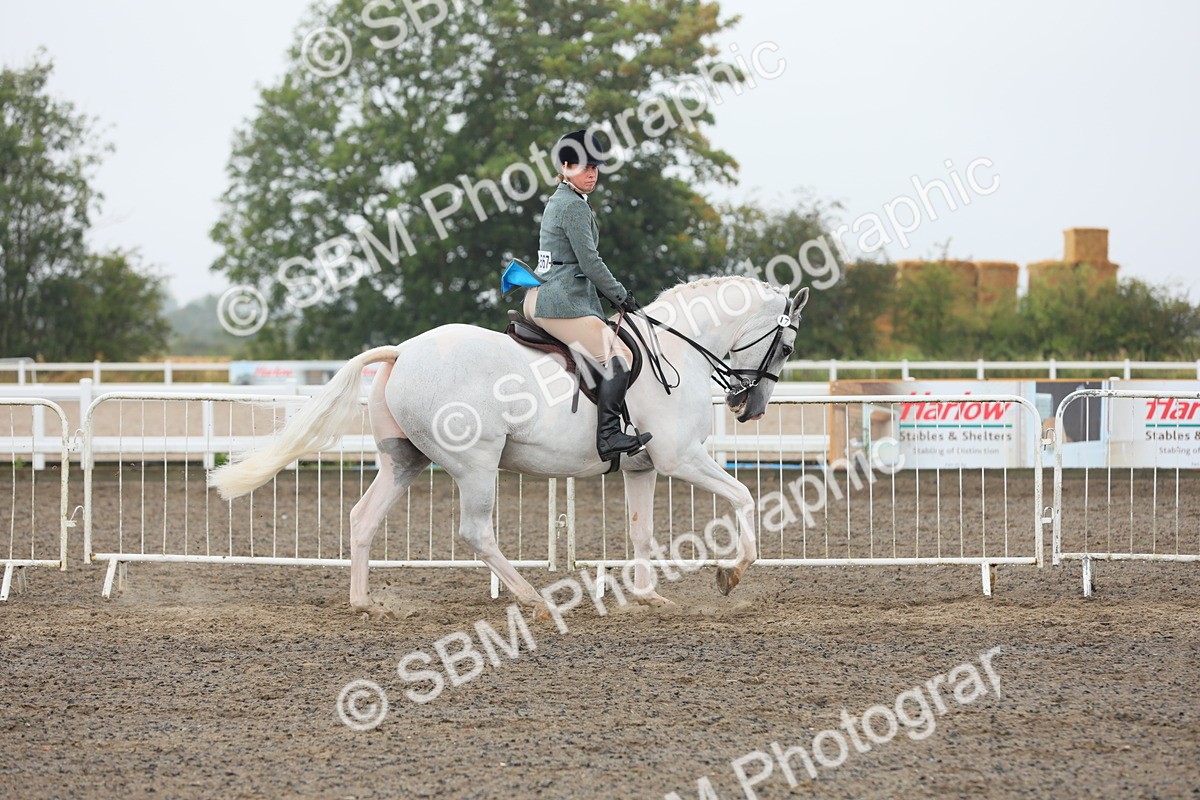 SBM_21241 - Class 805 - Ridden Veteran Horse