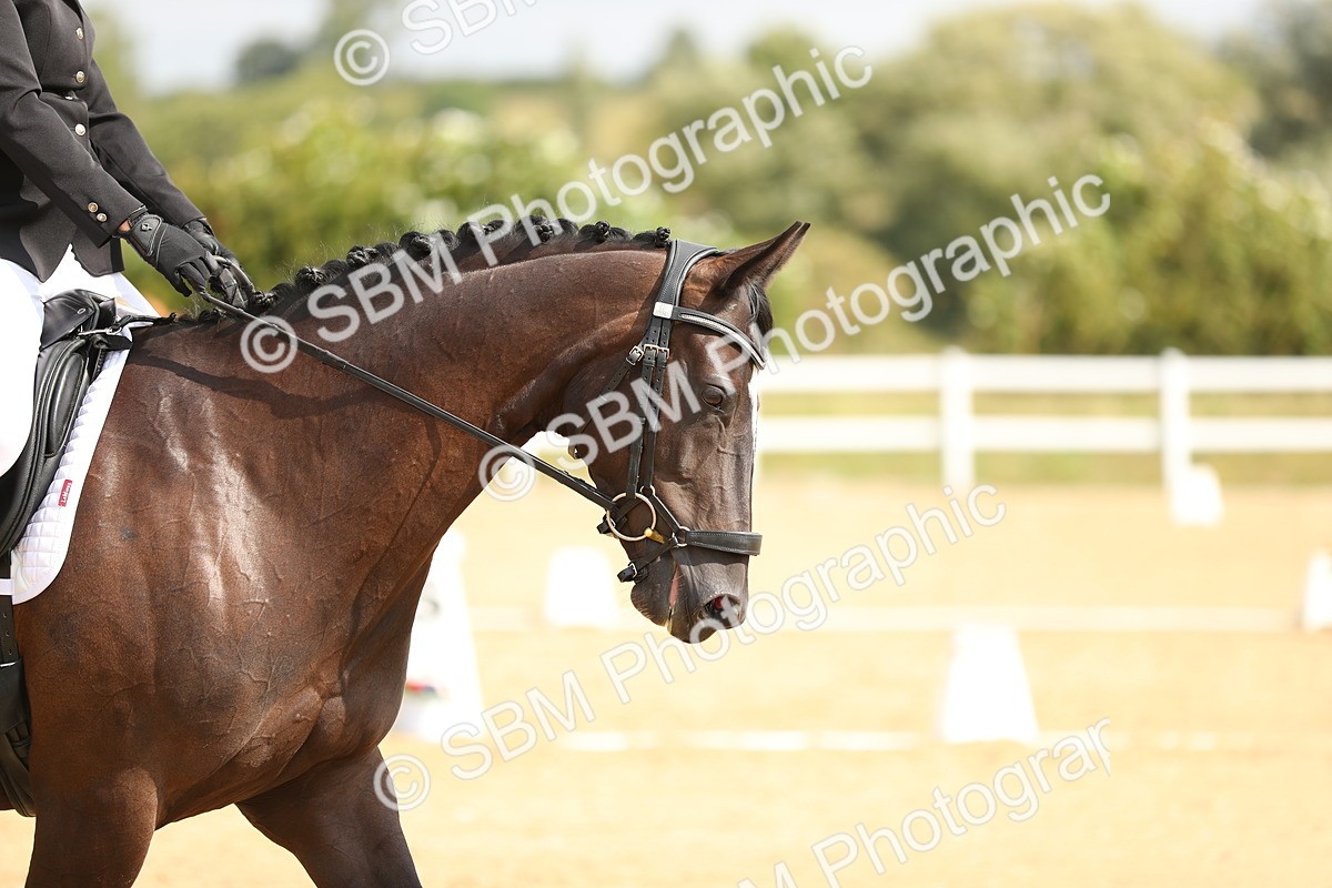 SBM_016280 - Class 13 - Novice 23 - 11.25-12.35