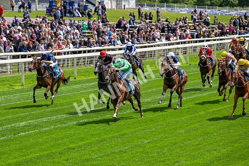 120626-Race 2-Everatease-6817 - Race 2 14.25pm Constant Security Keeping York Racegoers Safe Rous Selling Stakes