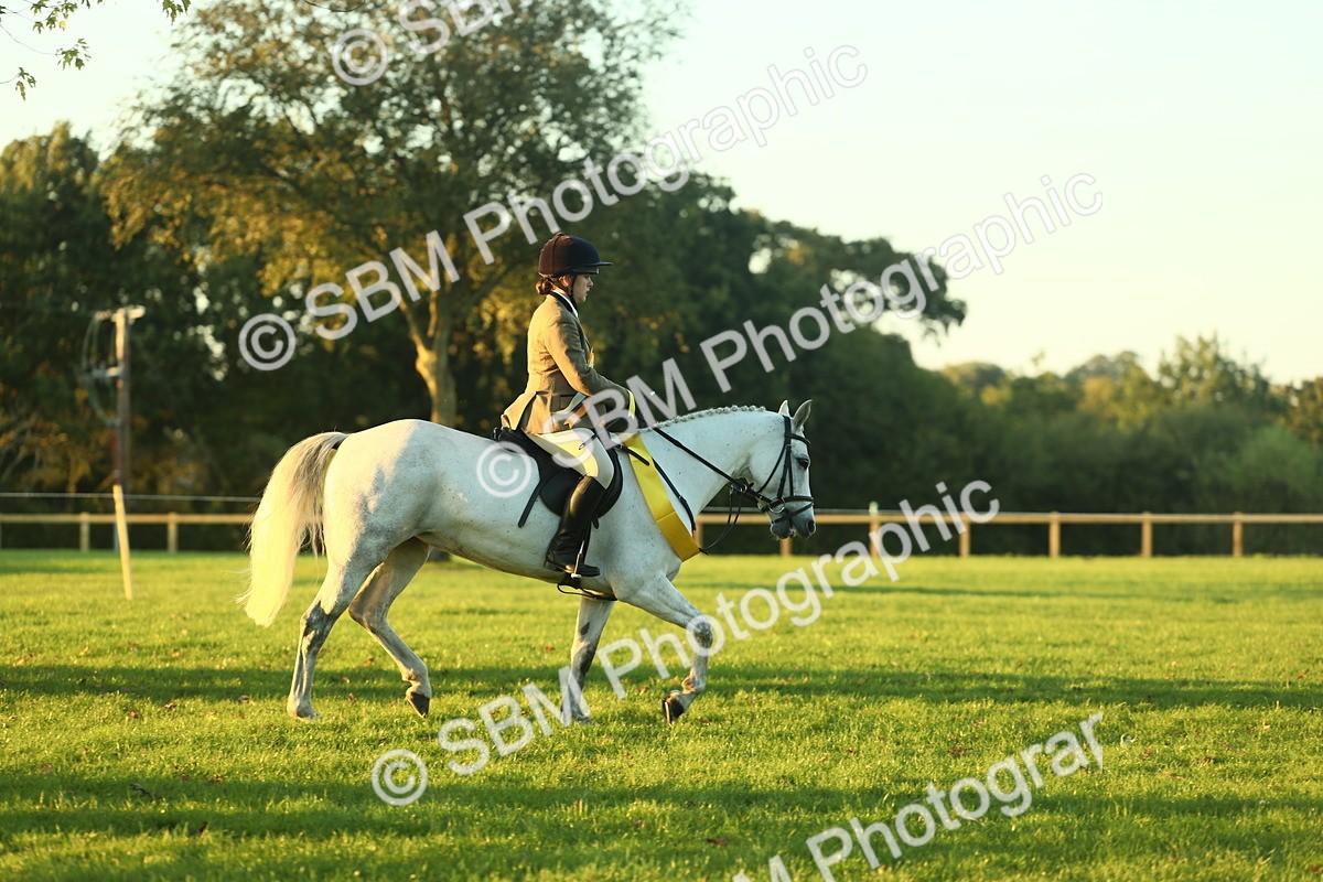 SBM_56605 - Fun & Versatile Supreme Championship