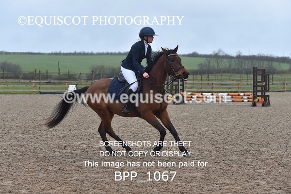 BPP_1067 - CLASS 1 Club/ Unaffiliated 60cms Open