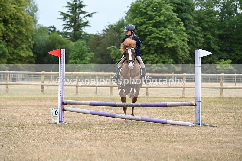 WJ6_0205 - Class 13 Novice Jumping 60cm