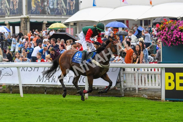 100923-Pony Race 1-0120 - Pony Race 1 12.25 The Dragon (TV and Film) Studios Pony Race 148cm & Under