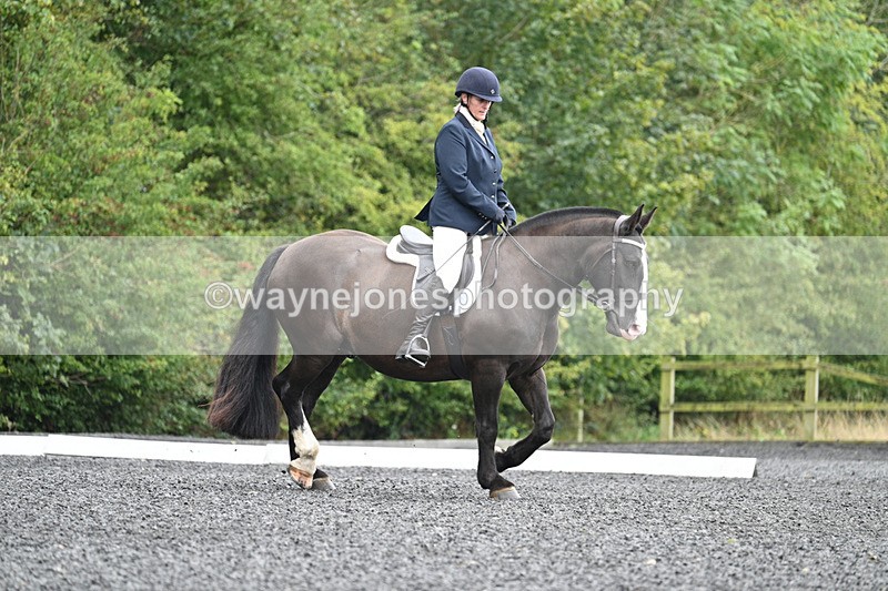WJ7_0590 - Time 12:36 to 13:13
