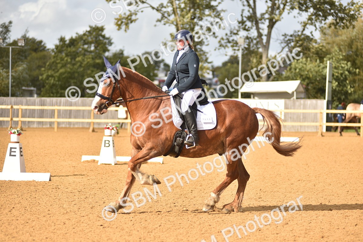 SBM_24387 - D4 - Small Tour Championship Intro 4