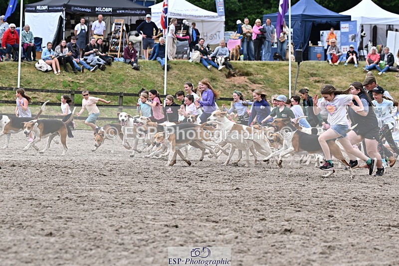 250524A-152734-12750 - East Devon Hounds