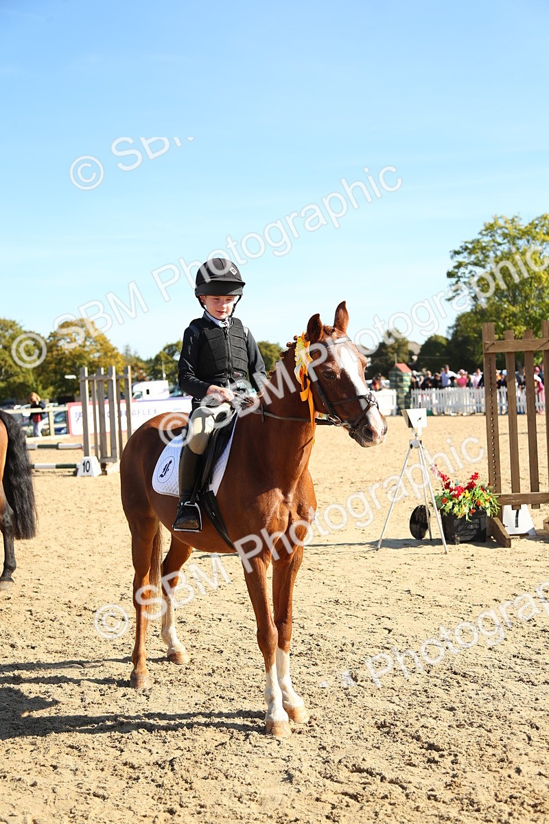 SBM_36049 - J5 - Junior Pony 50cm Championship
