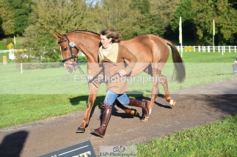 231022-095514-22112 - 446-WANDALUST-Lizzie.Luxton-TrotUp+SJ