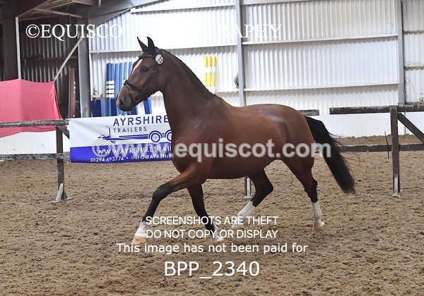 BPP_2340 - AFTERNOON 12.30 - 3.30PM