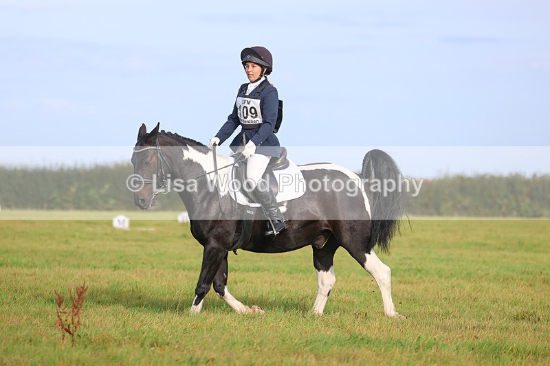 3E7A5468 - Class 1: Trebudannon Open: Dressage