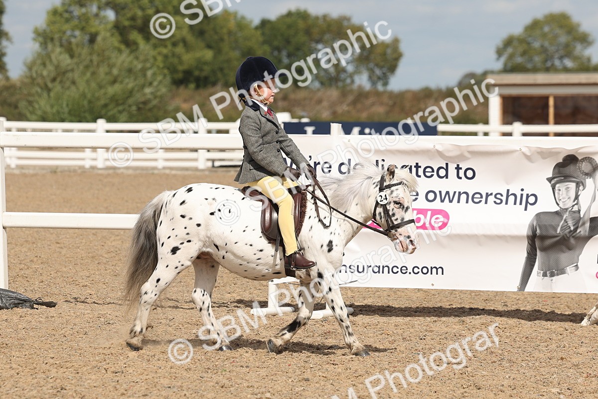 SBM_15874 - Class 310 - First Ridden Pony