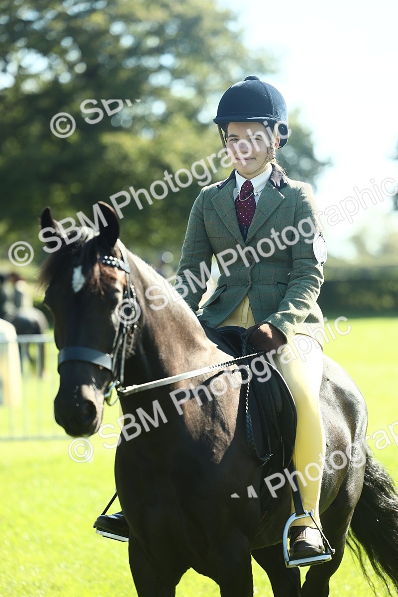 SBM_39057 - S29 - Novice & Newcomers Working Hunter Pony