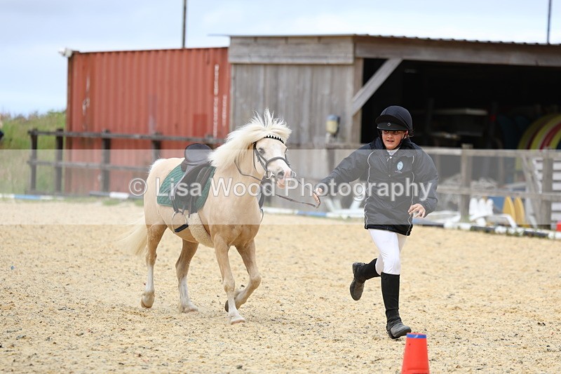 3E7A9420 - Walk trot run