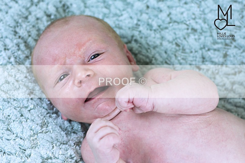 DSC_6862portfolio - Newborn Photoshoots