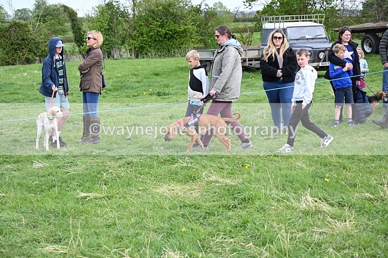 WJ6_8494 - Class 6 Best Rescue