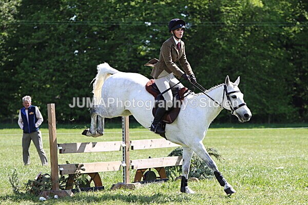 IMG_4518 - Working Hunter