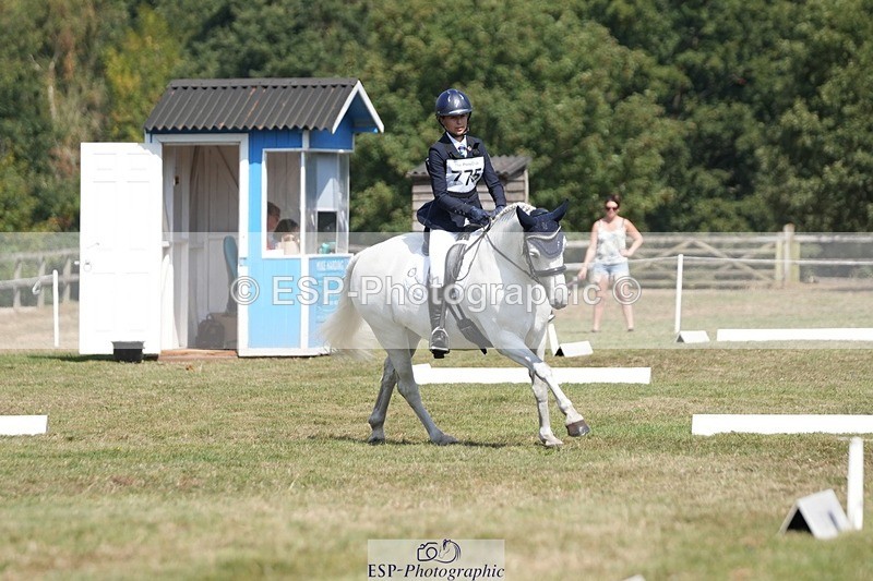 250823A-122135-29296 - Arena A