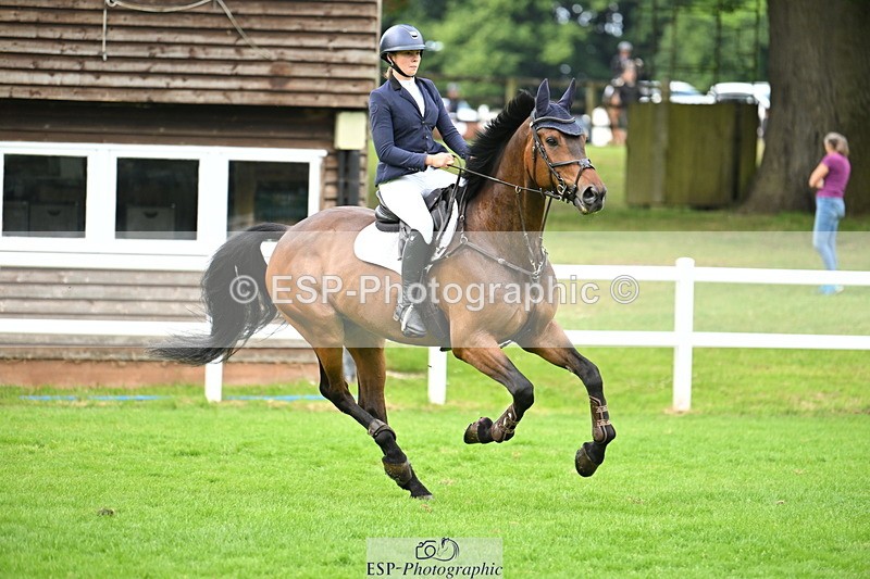 250615A-083654-09218 - Cls 35 Foxhunter